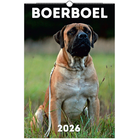 Boerboel Wall Calendar 2026