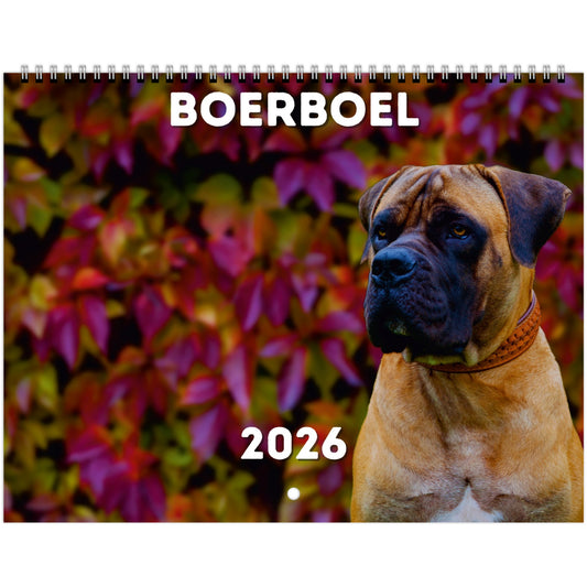 Boerboel Wall Calendars 2026