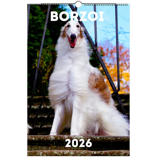 Borzoi Wall Calendar 2026