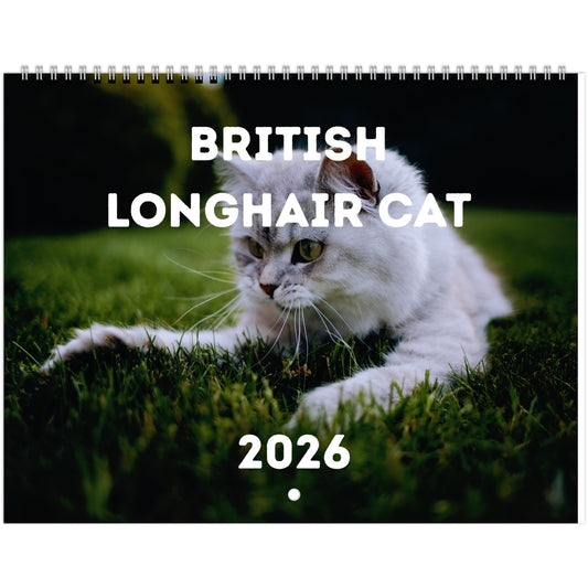 British Longhair Cat Wall Calendar 2026