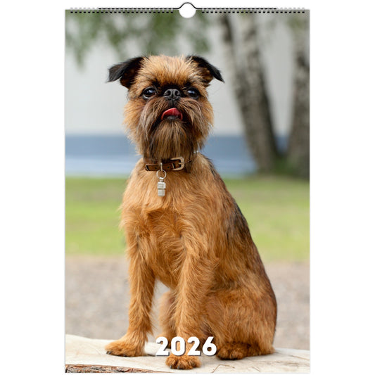 Brussels Griffon Wall Calendar 2026