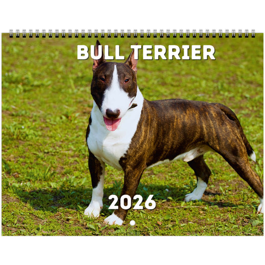 Bull Terrier Wall Calendar 2026