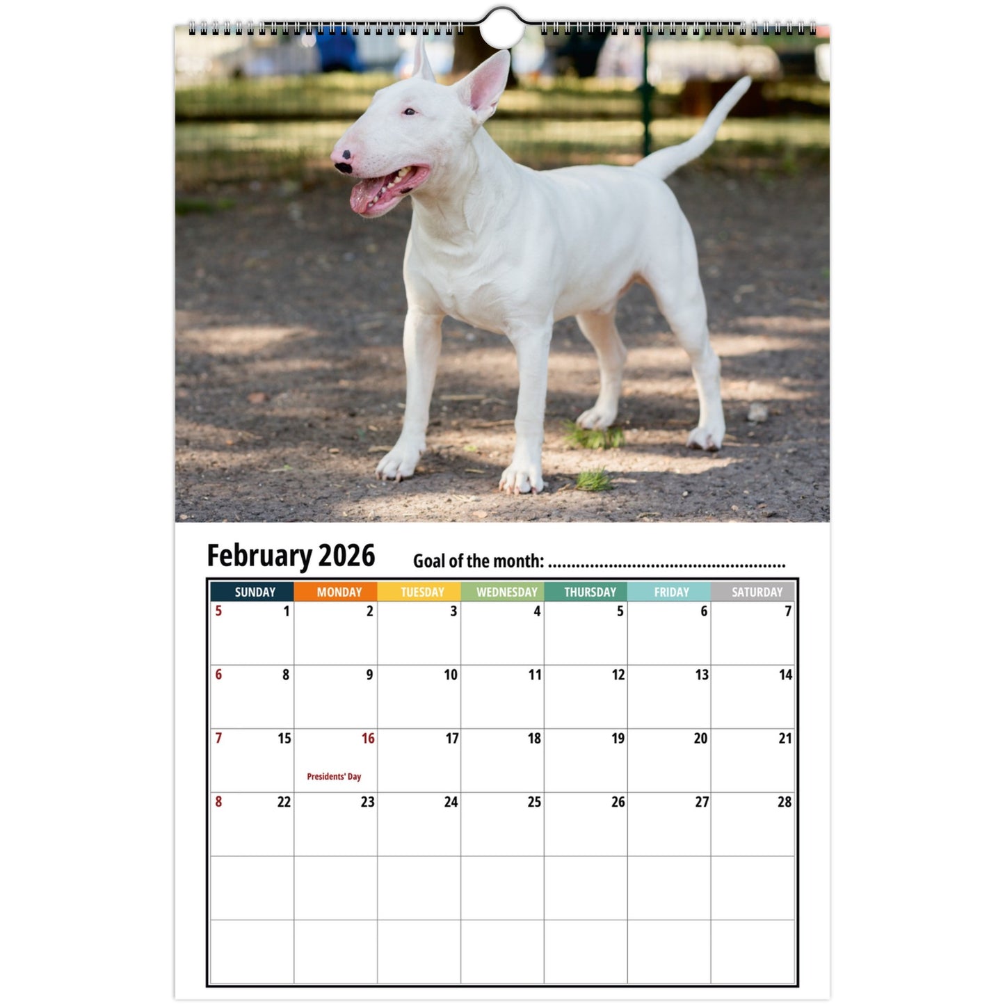 Bull Terrier Wall Calendar 2026