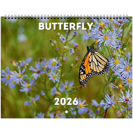 Butterfly Wall Calendar 2026
