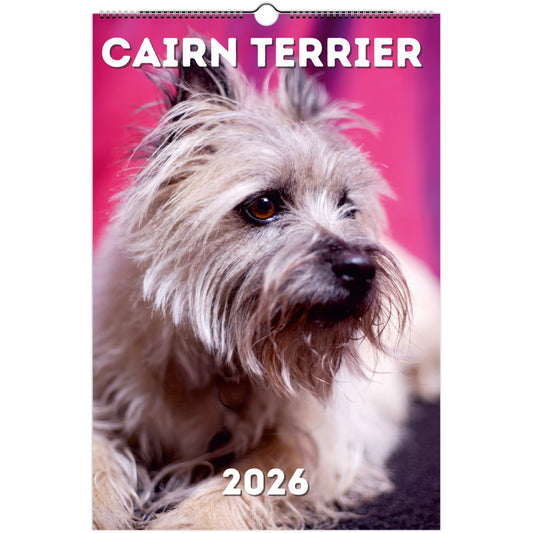 Cairn Terrier Wall Calendar 2026