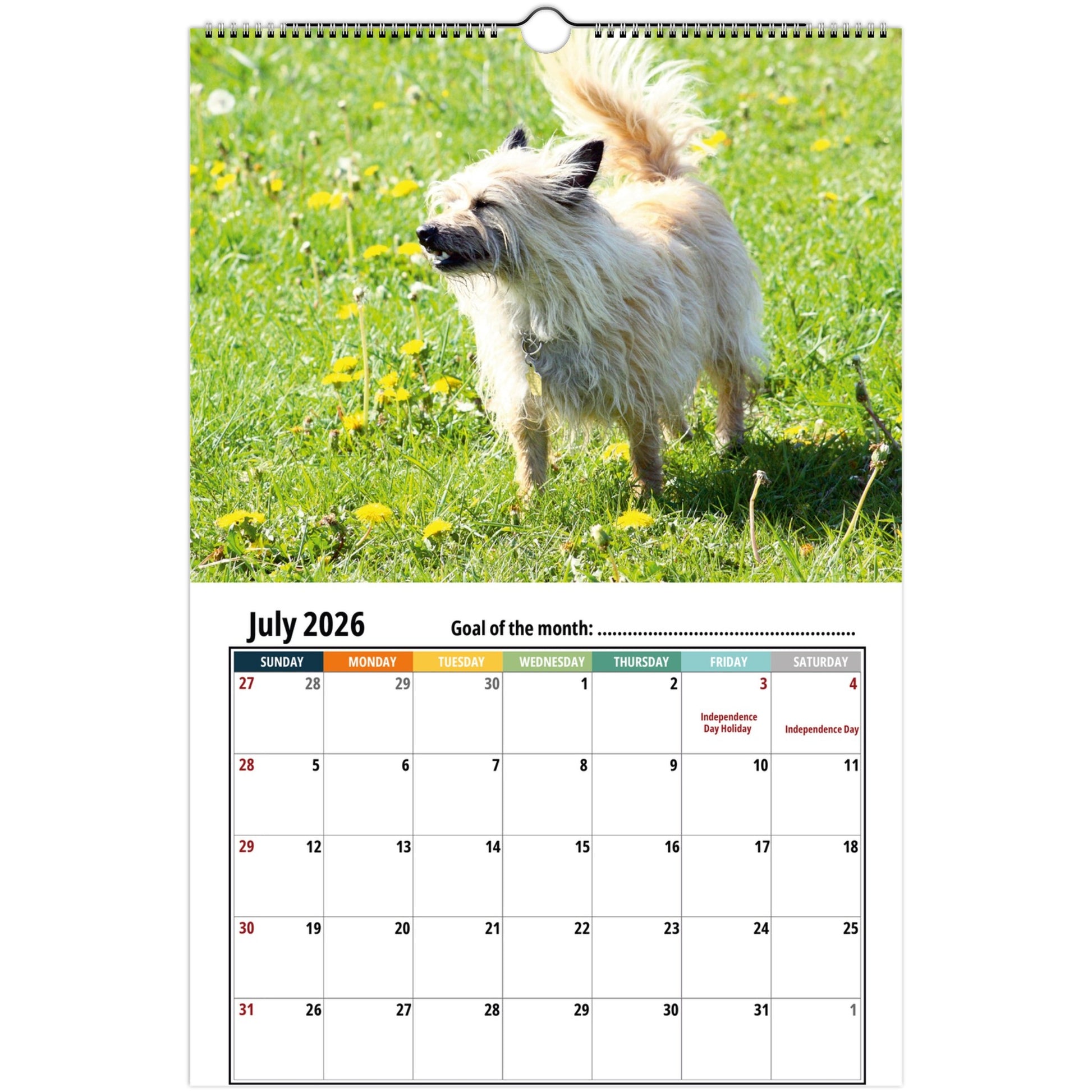Cairn Terrier Wall Calendar 2026 3