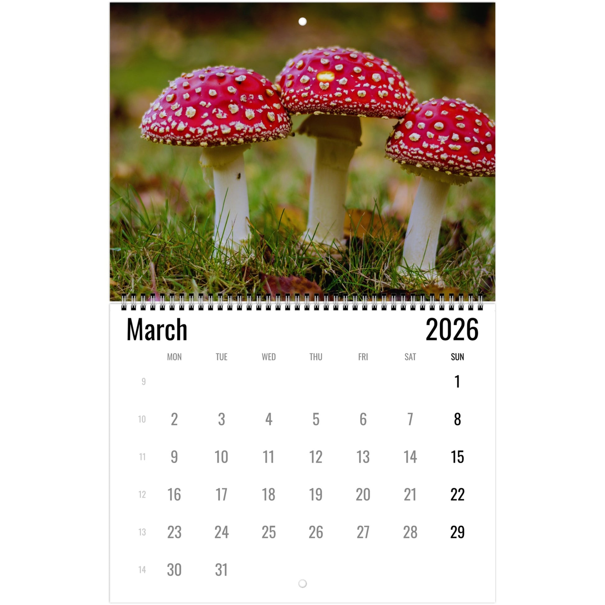 Calendar for March 2026 with red and white mushrooms on a grassy background