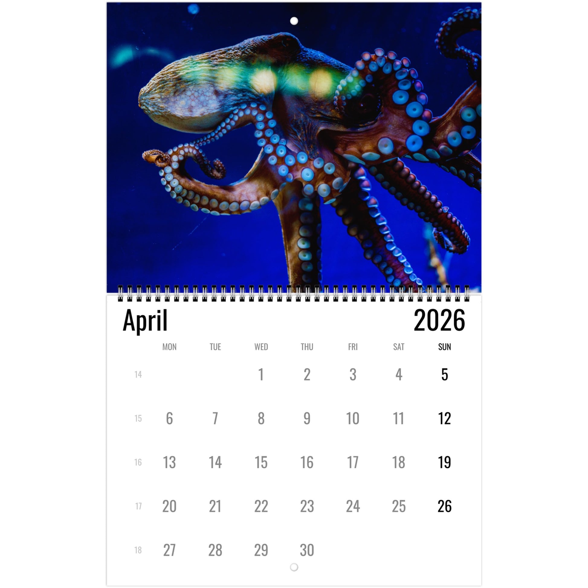 Calendar page for April 2026 with a colorful octopus illustration on a blue background.