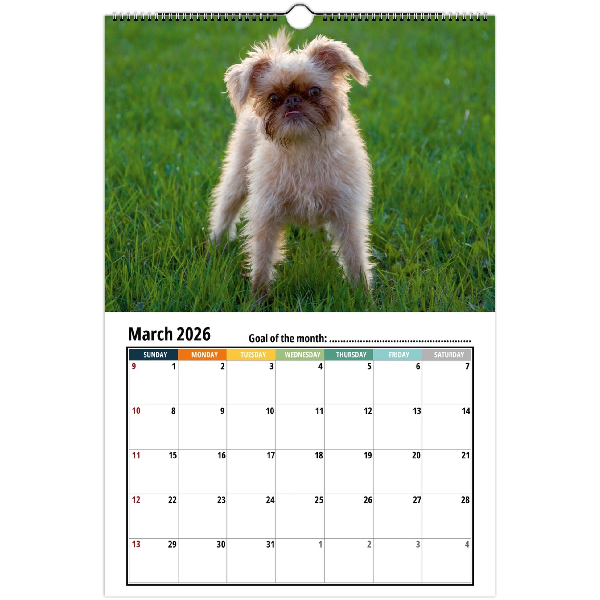 Calendar page for March 2026 with a Brussels Griffon dog on grass