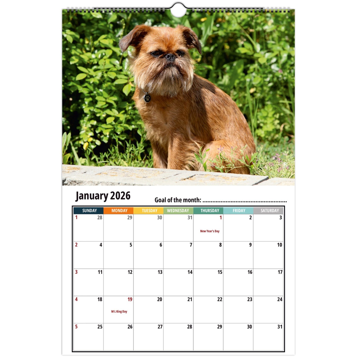 Calendar with a Brussels Griffon dog on the cover, showing January 2026, against a white background.