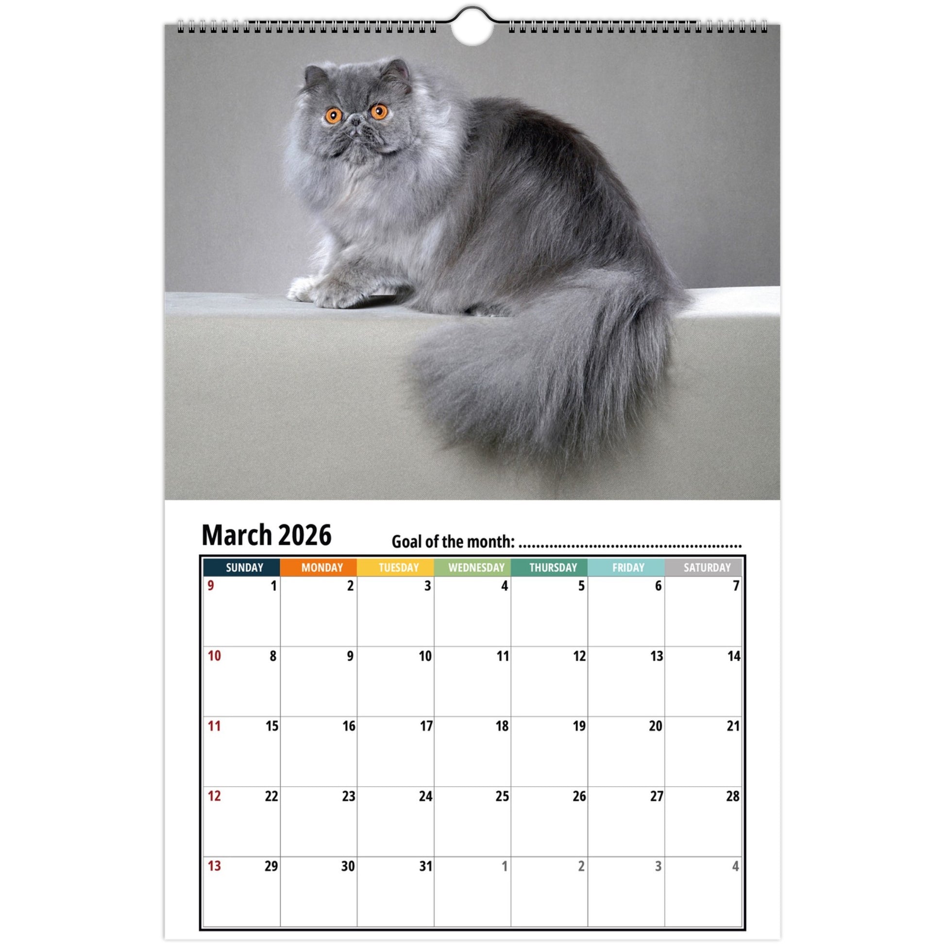 Calendar with a Persian cat on a gray background
