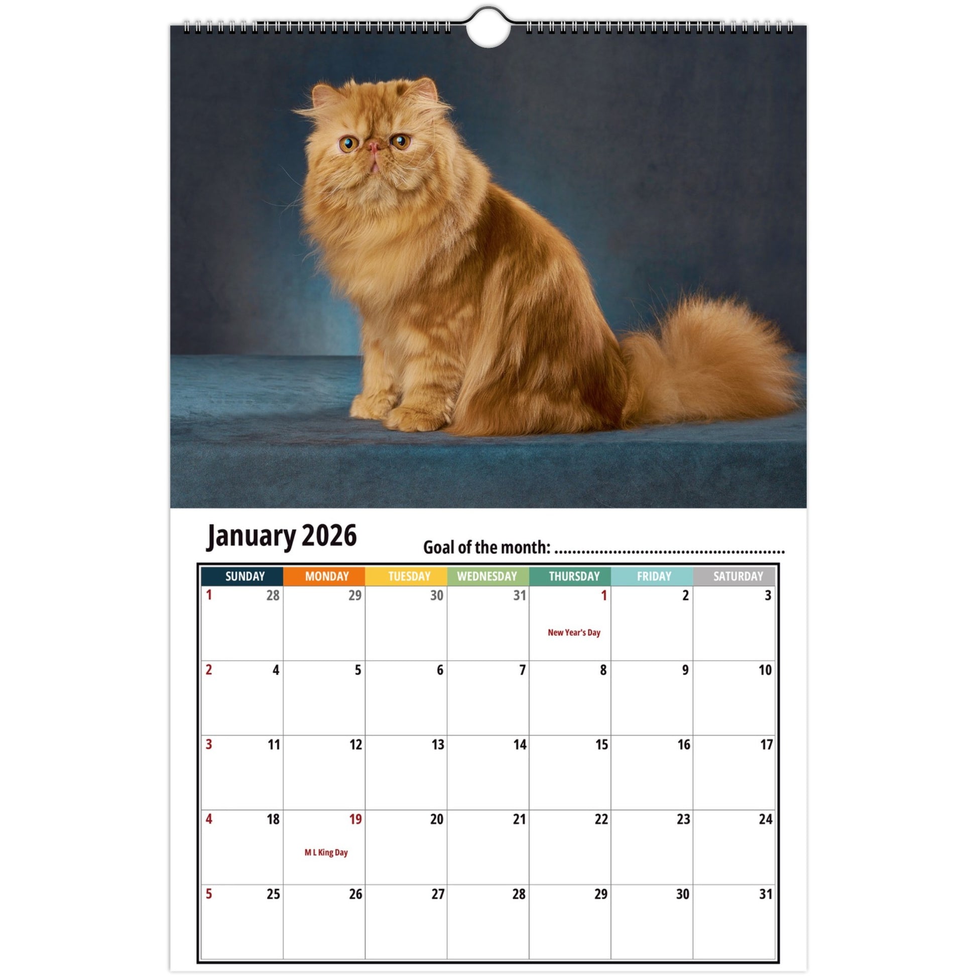 Calendar with a Persian cat on a blue background, featuring January 2026.