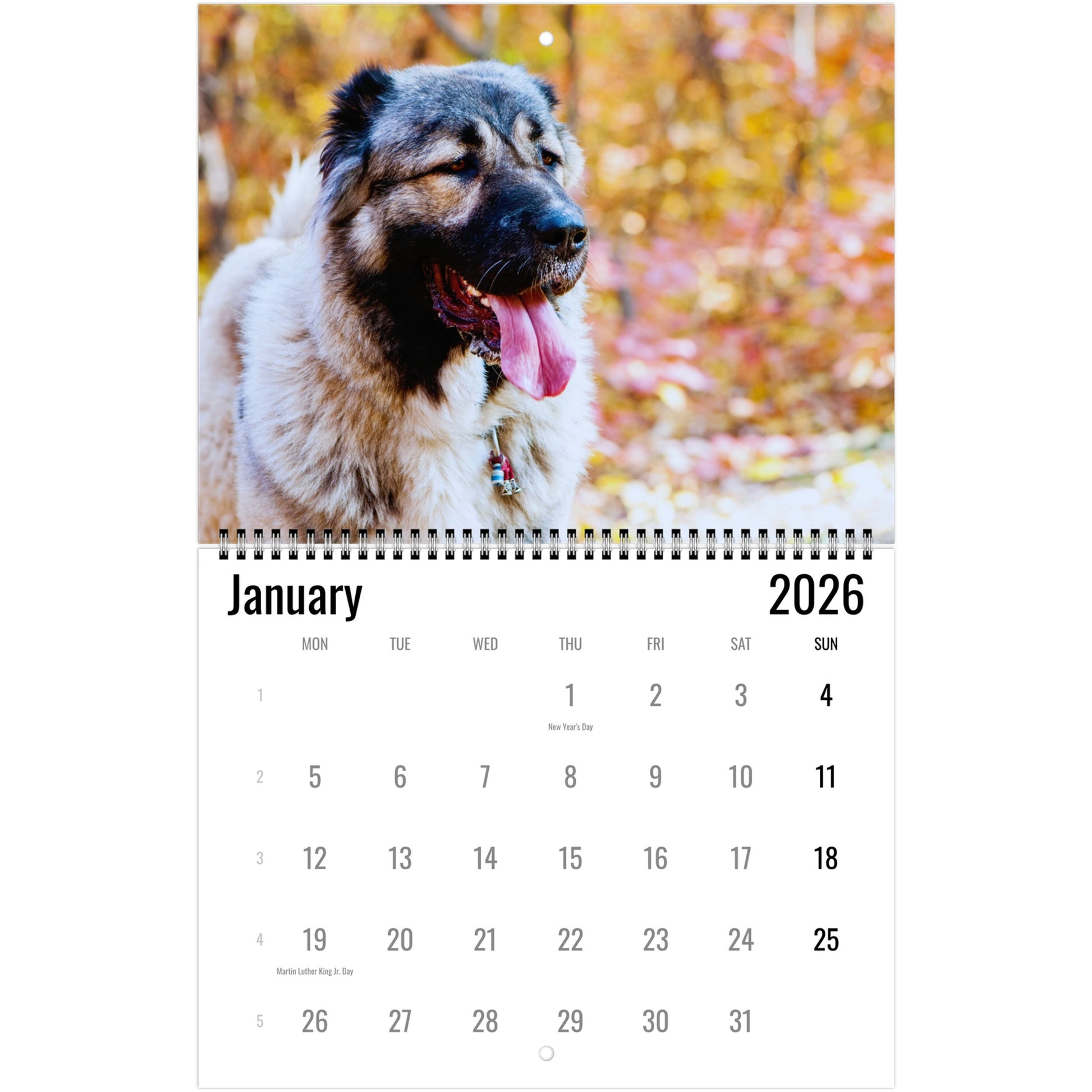 Caucasian Shepherd Wall Calendar 2026...