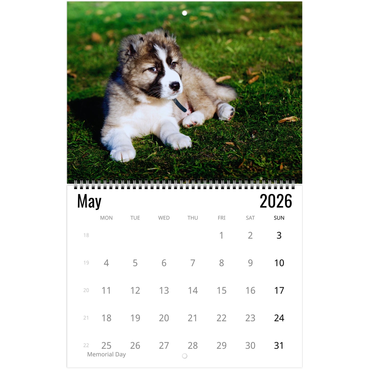 Caucasian Shepherd Wall Calendar 2026 3