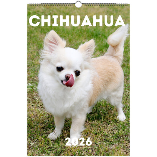 Chihuahua Wall Calendar 2026