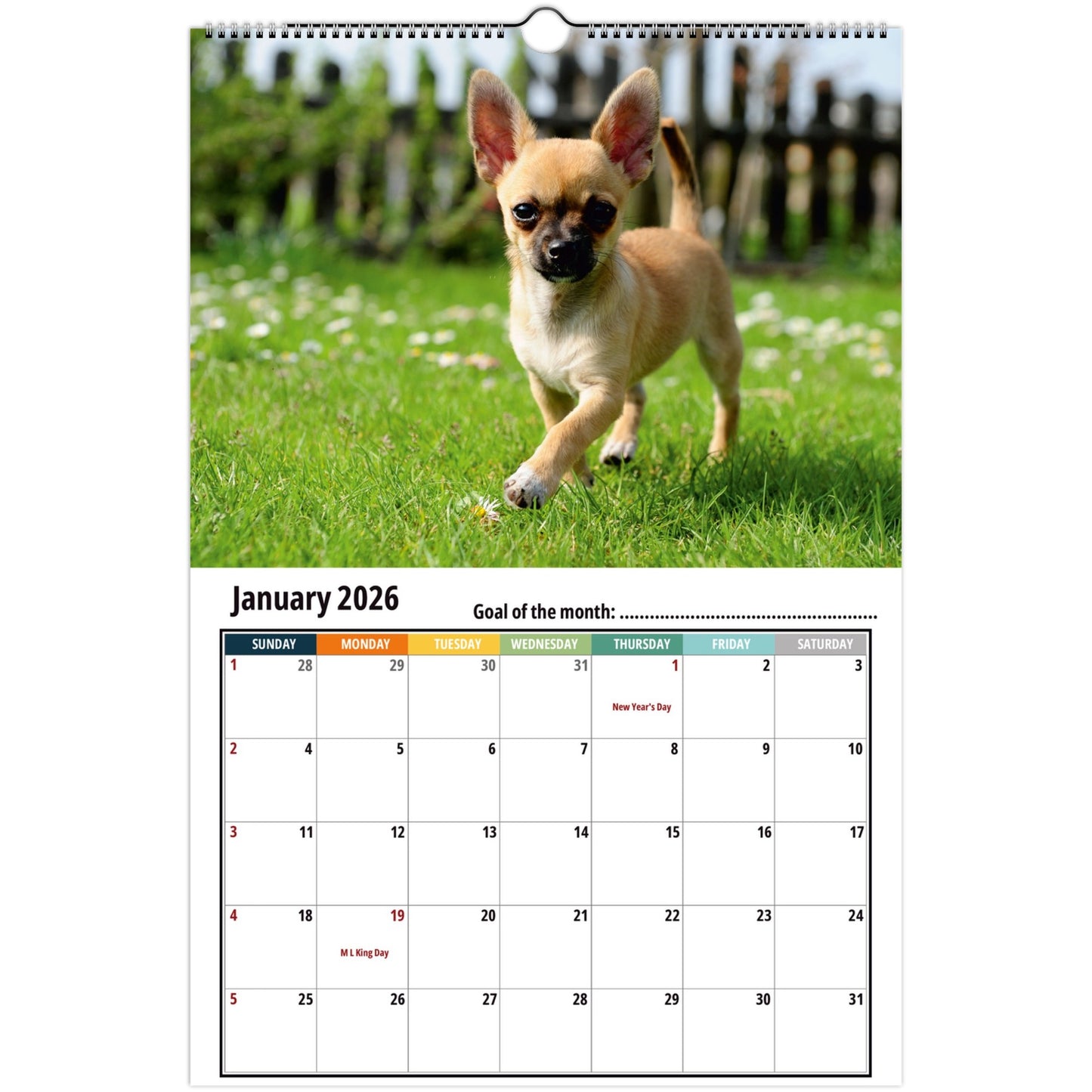 Chihuahua Wall Calendar 2026