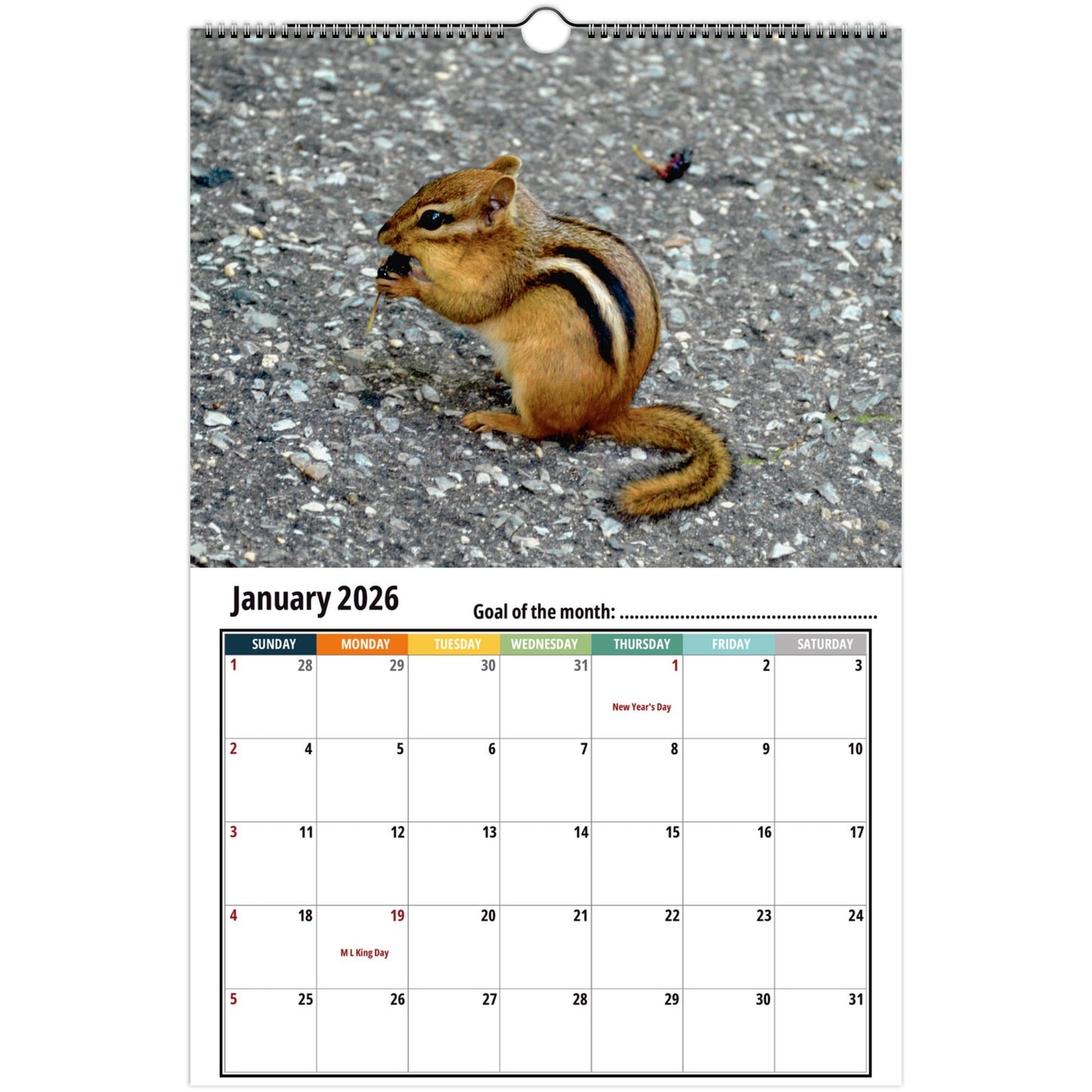 Chipmunk Calendar 2026