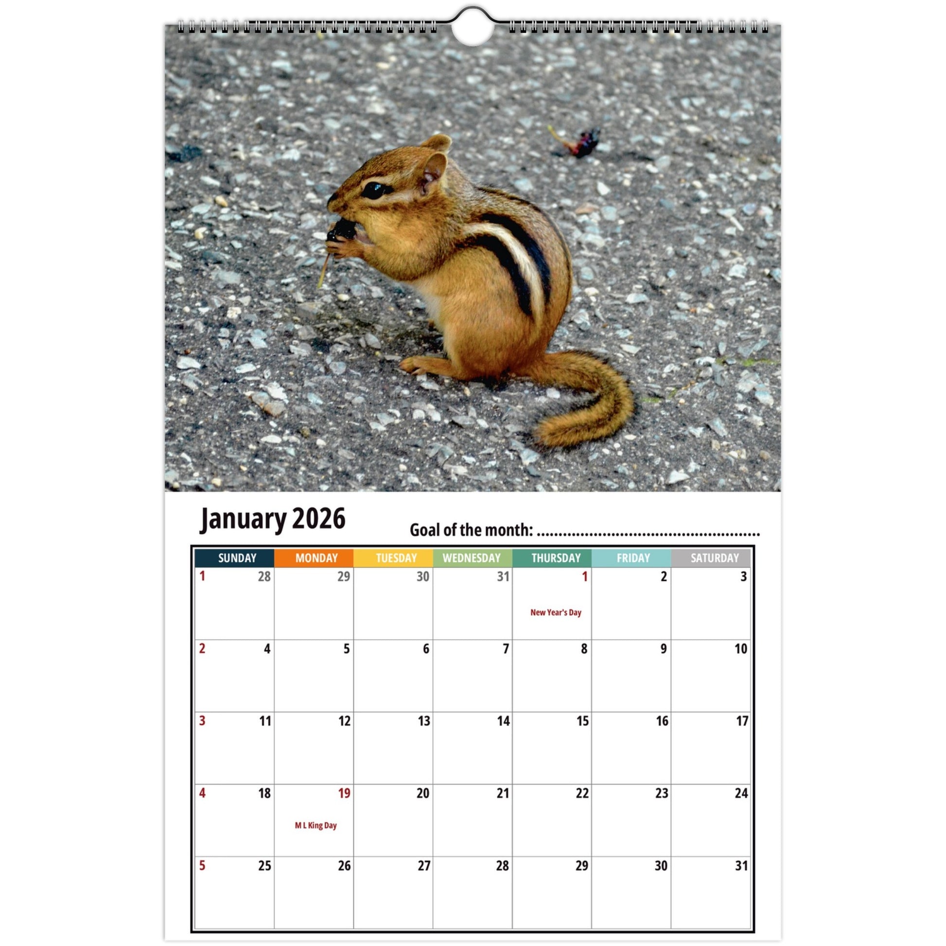 Chipmunk Calendar 2026