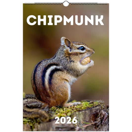 Chipmunk Wall Calendar 2026