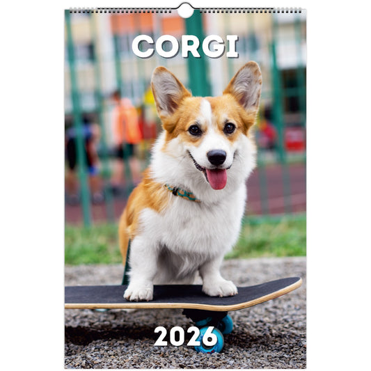 Corgi Wall Calendar 2026