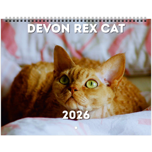 Devon Rex Cat Wall Calendar 2026