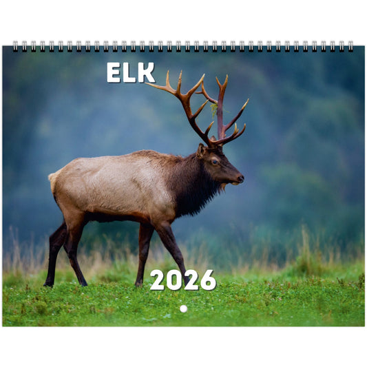 Elk Wall Calendar 2026