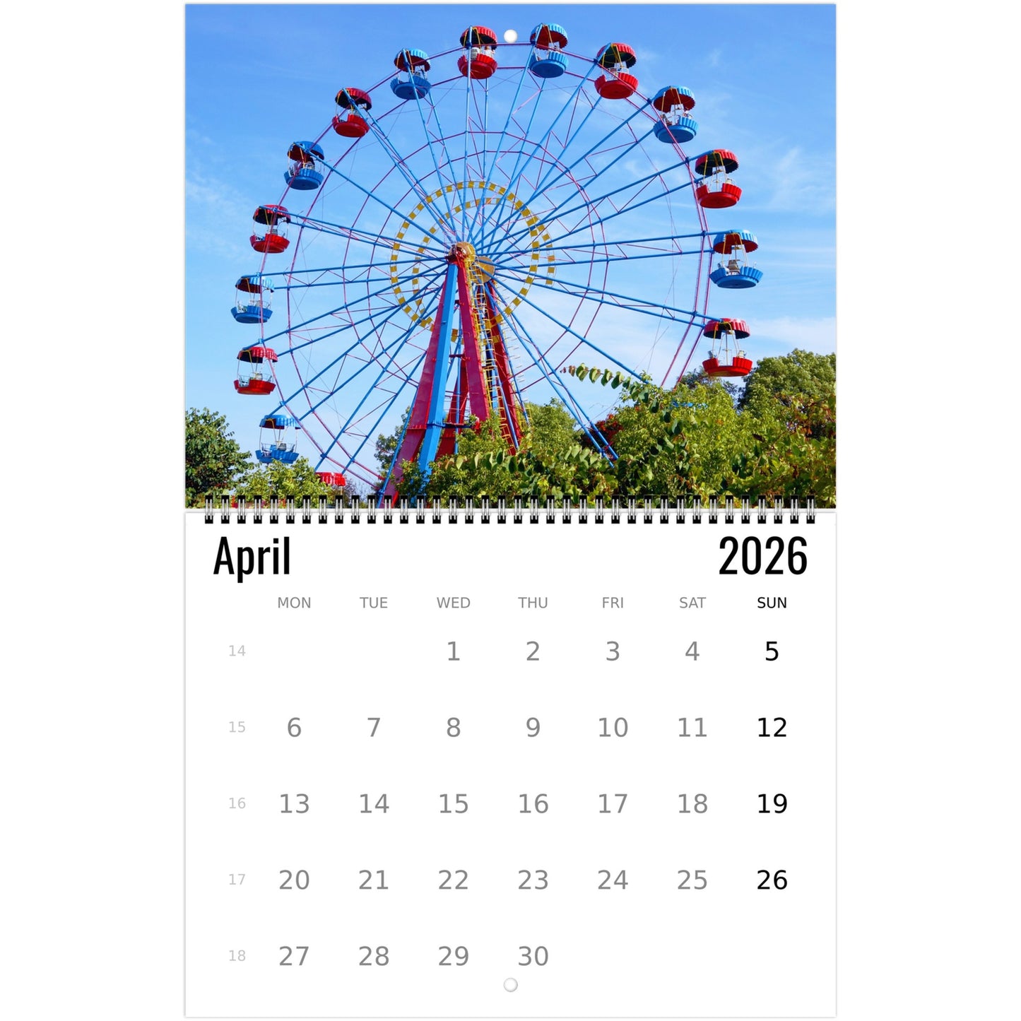 Ferris Wheel Wall Calendar 2026