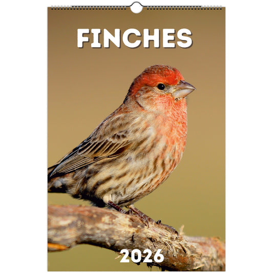 Finches Wall Calendar 2026