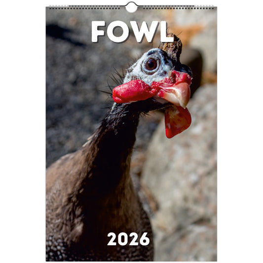 Fowl Wall Calendar 2026