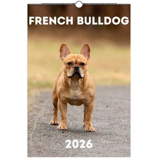 French Bulldog Wall Calendar 2026