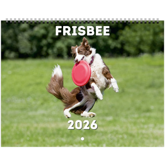 Frisbee Wall Calendar 2026