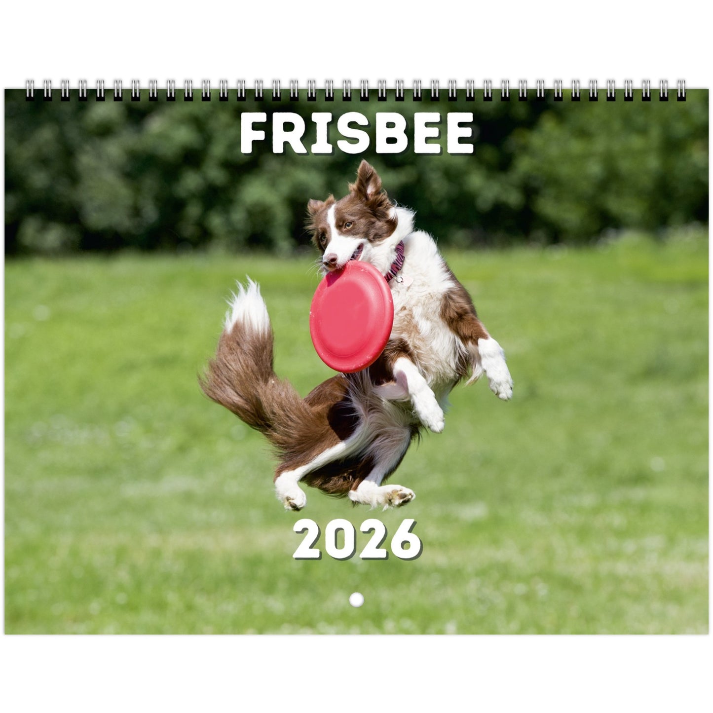 Frisbee Wall Calendar 2026 Default Title