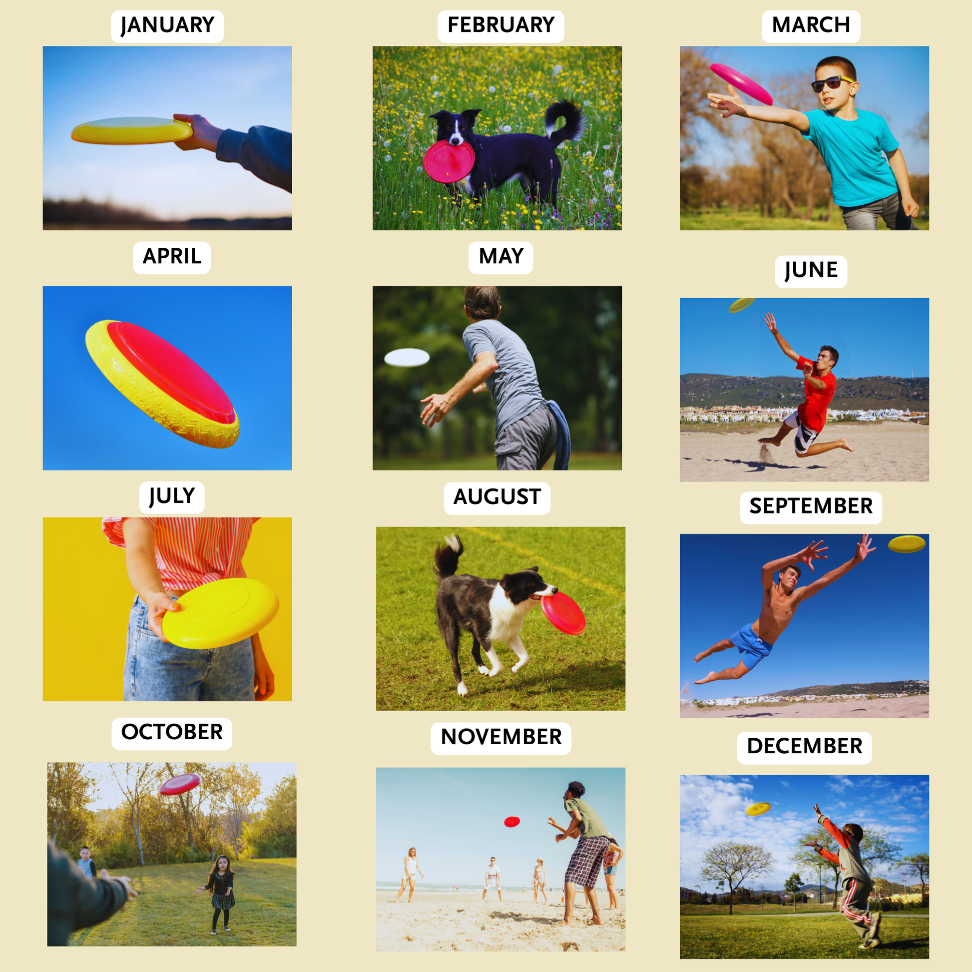 Frisbee Wall Calendar 2026