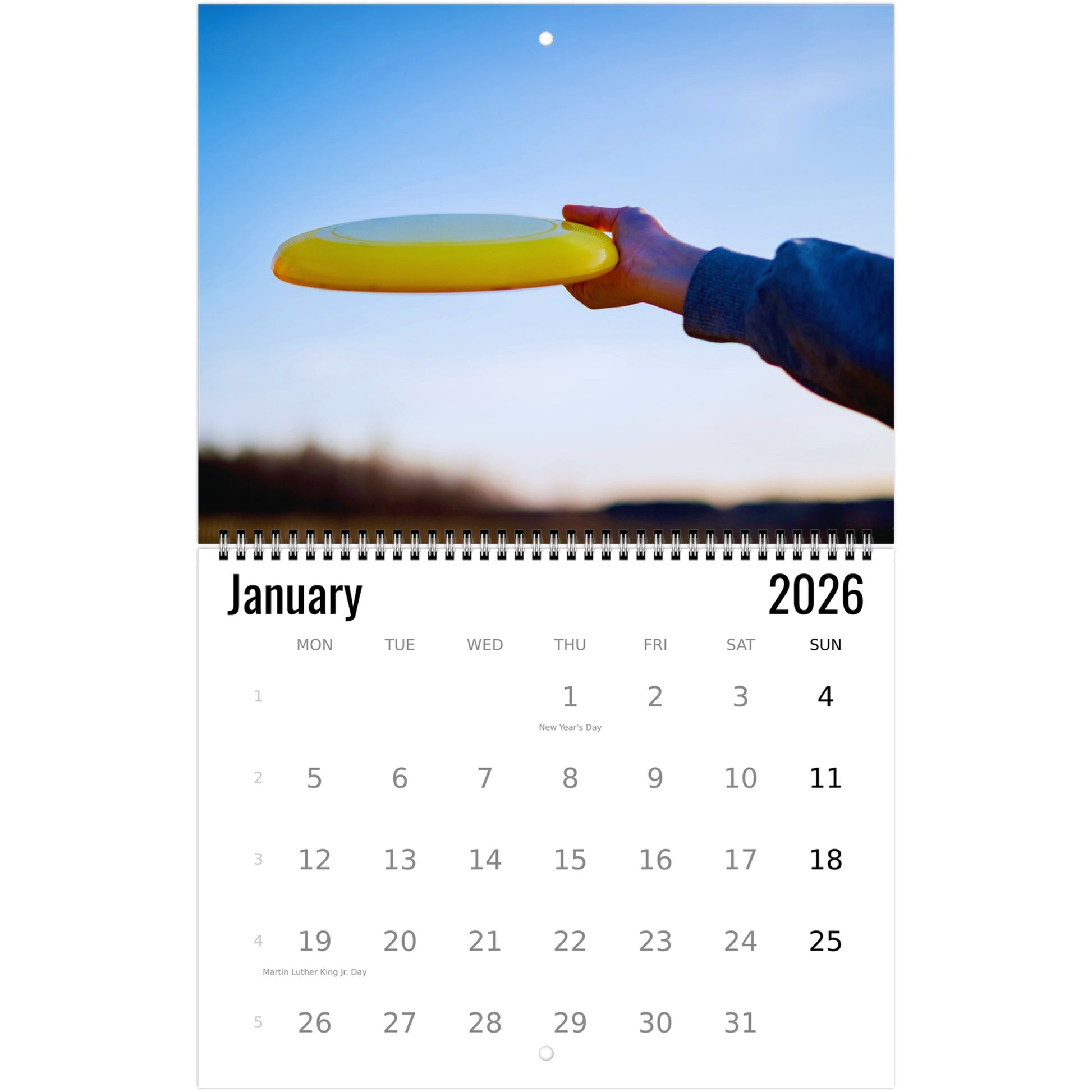 Frisbee Wall Calendar 2026