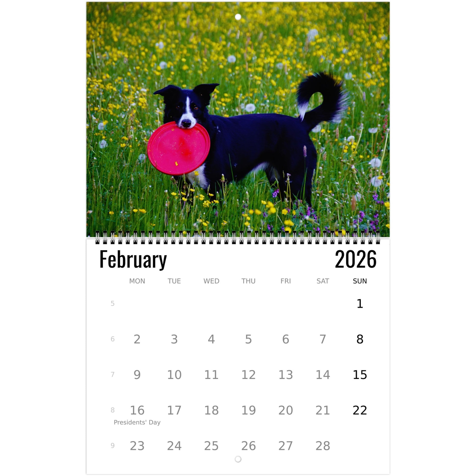 Frisbee Wall Calendar 2026
