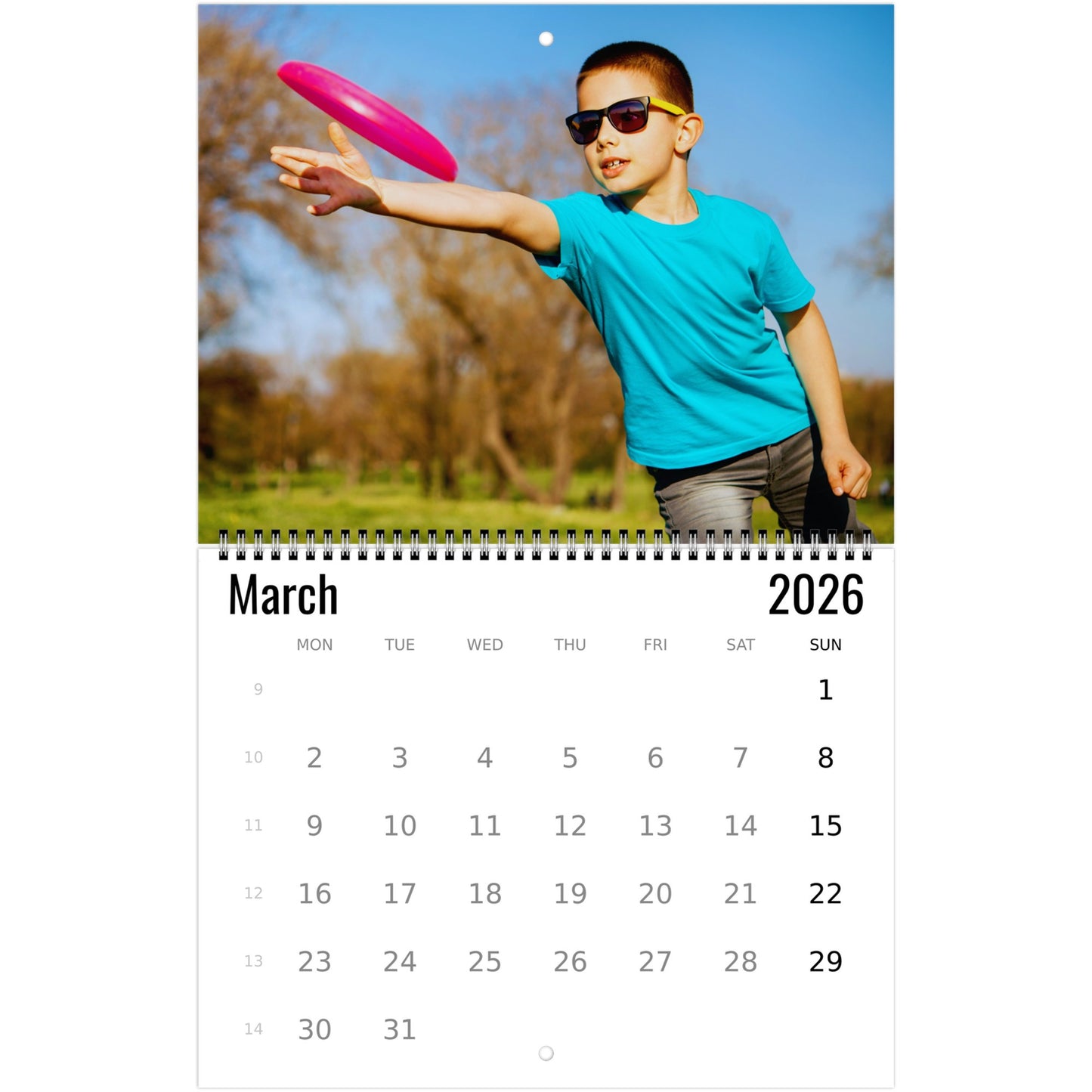 Frisbee Wall Calendar 2026