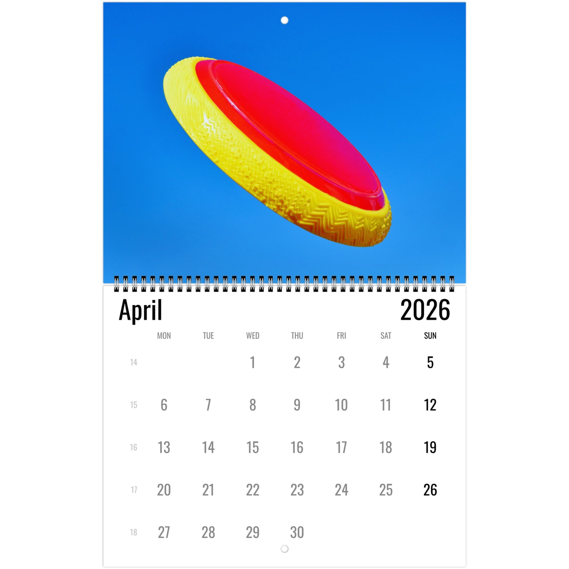 Frisbee Wall Calendar 2026