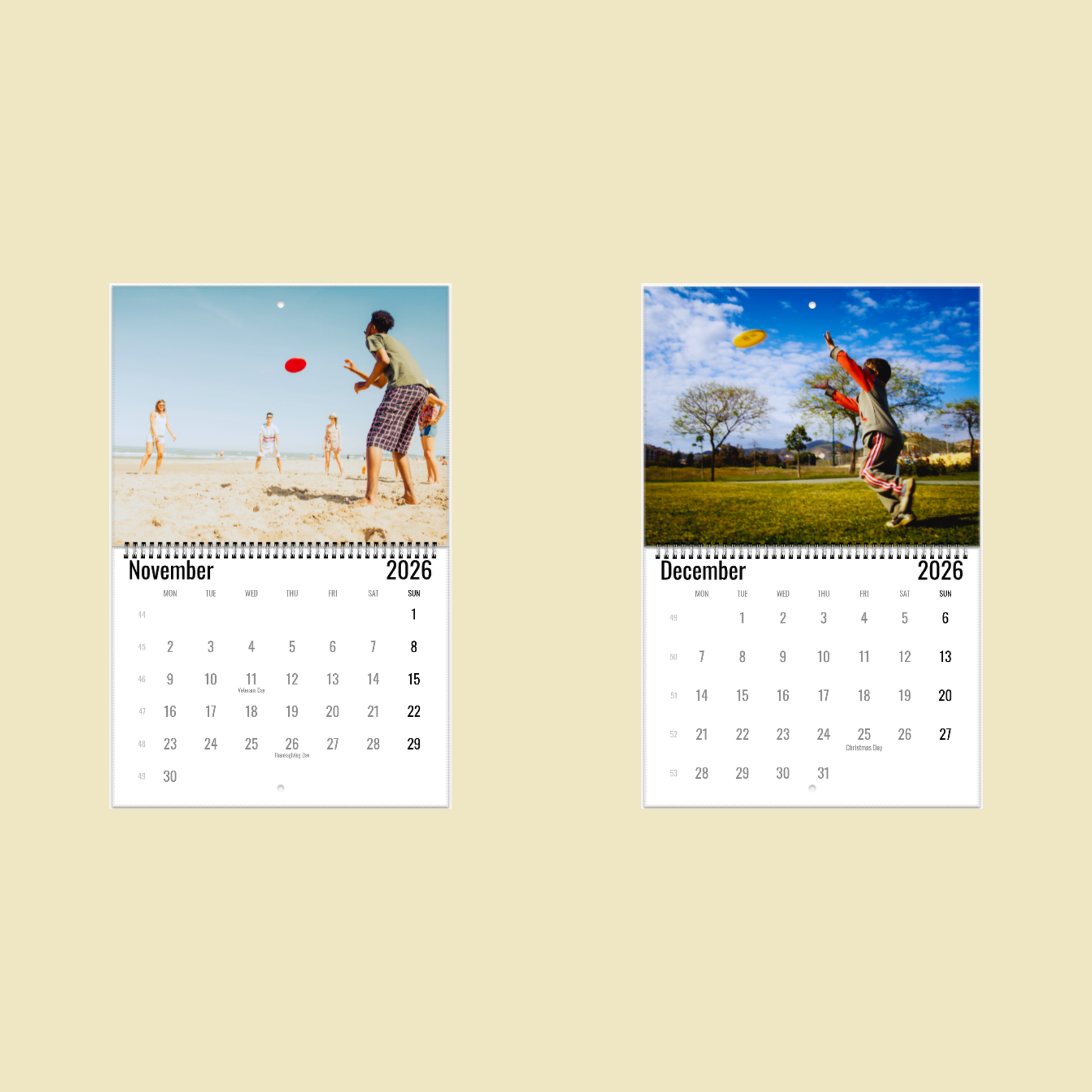 Frisbee Wall Calendar 2026