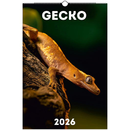 Gecko Wall Calendar 2026