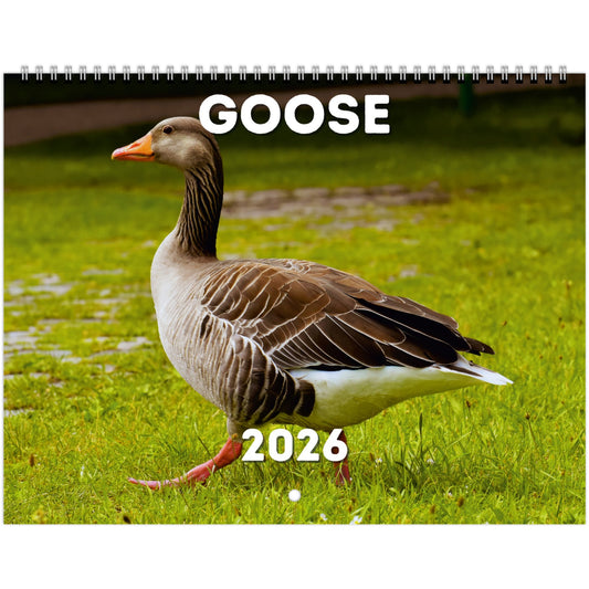 Goose Wall Calendar 2026