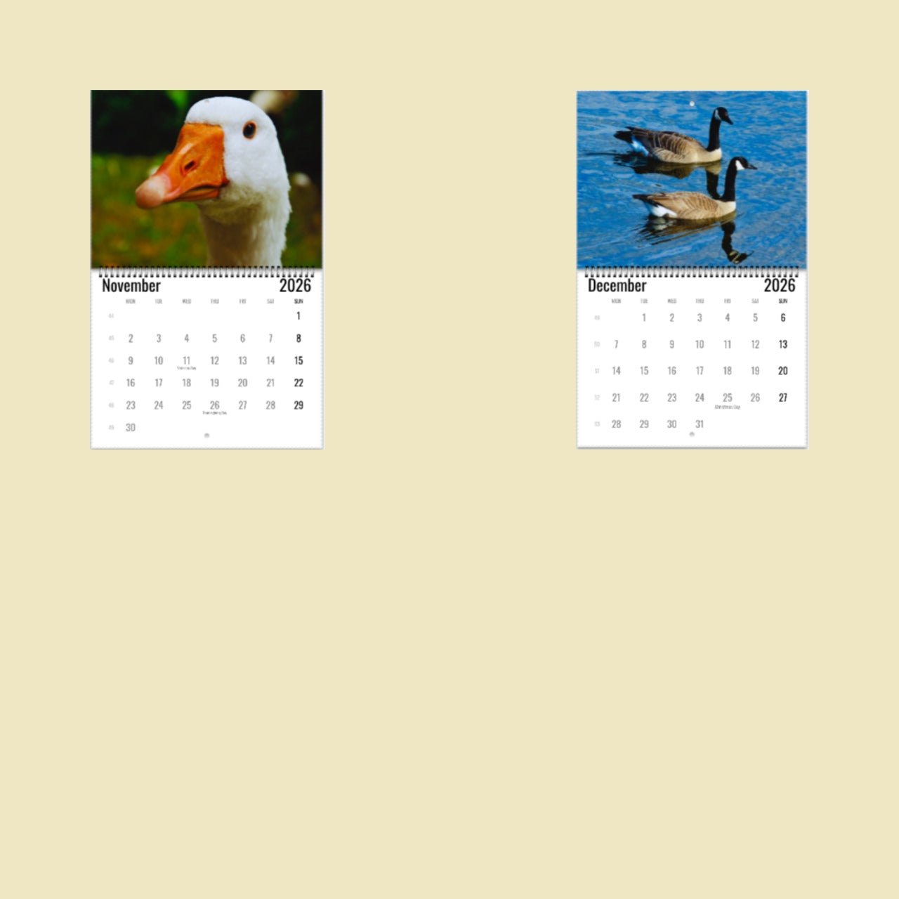 Goose Wall Calendar 2026