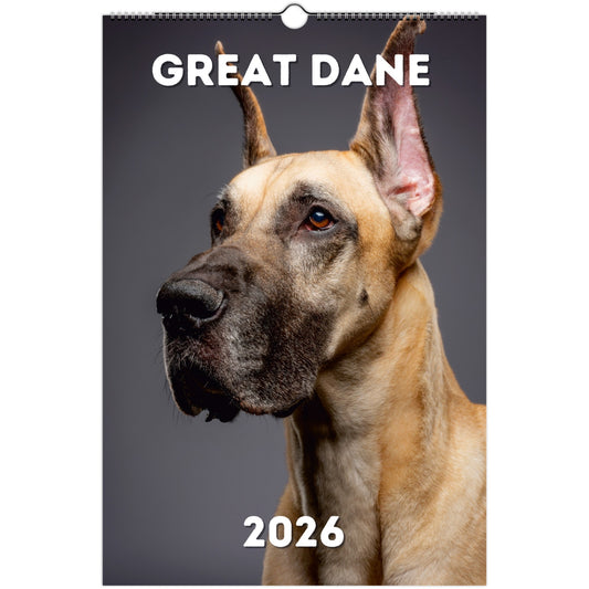 Great Dane Wall Calendar 2026