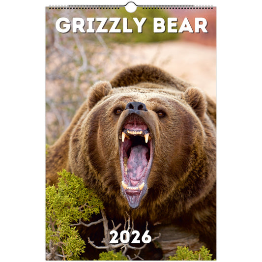 Grizzly Bear Wall Calendar 2026