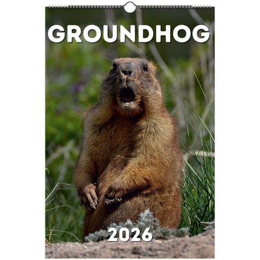 Groundhog Wall Calendar 2026