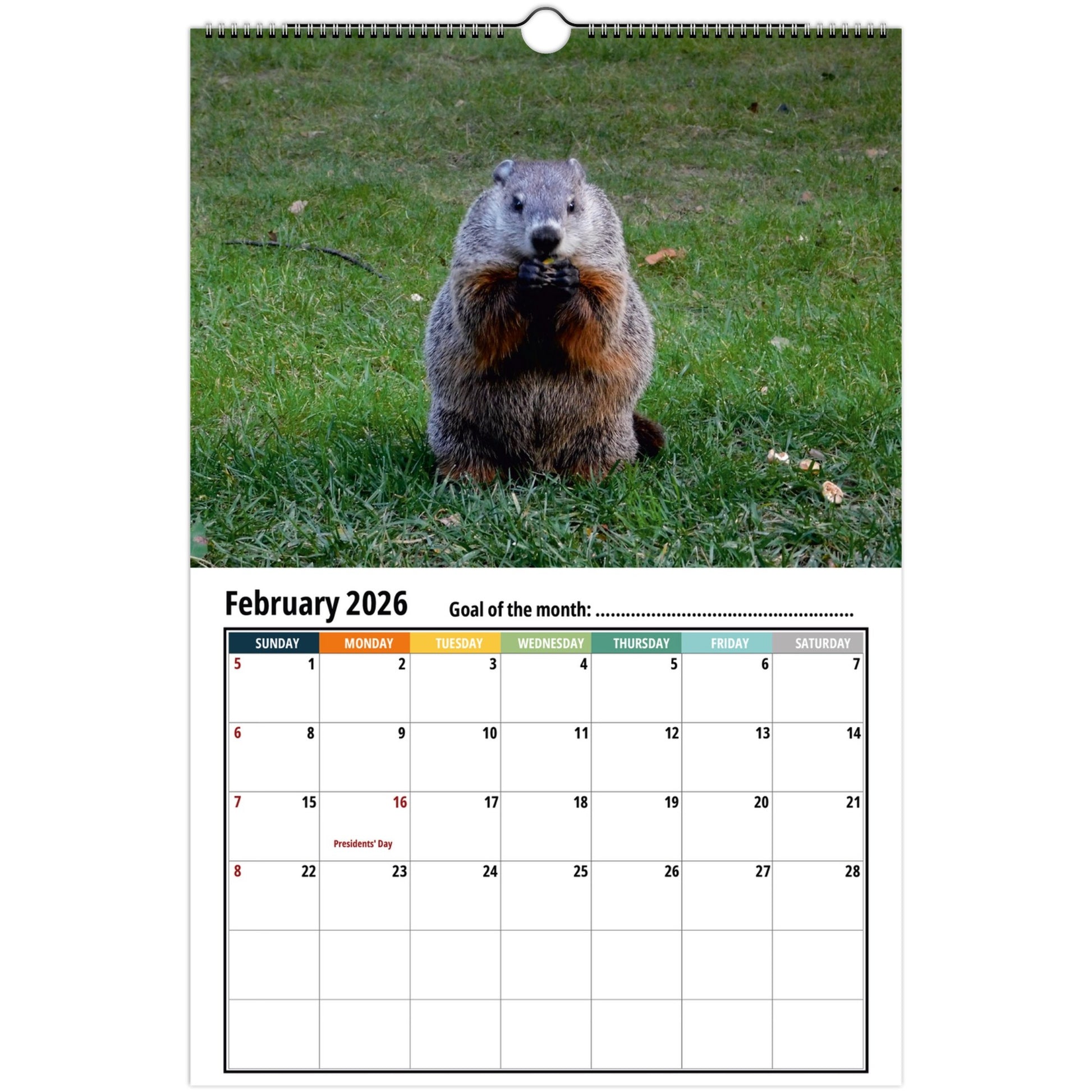 Groundhog Wall Calendar 2026