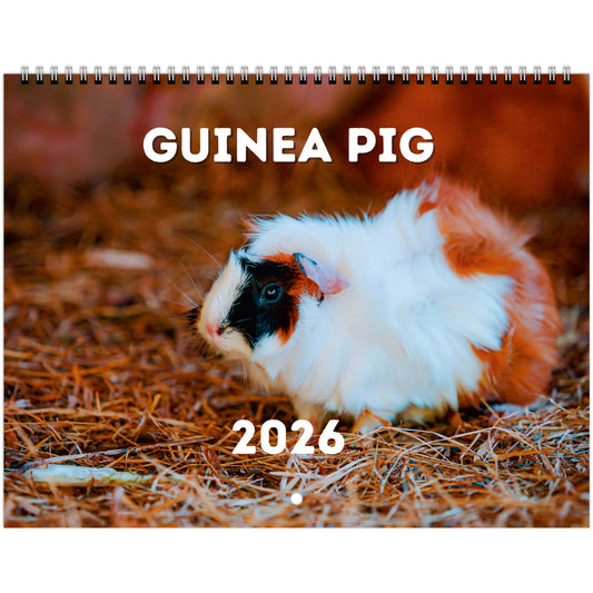 Guinea Pig Wall Calendar 2026