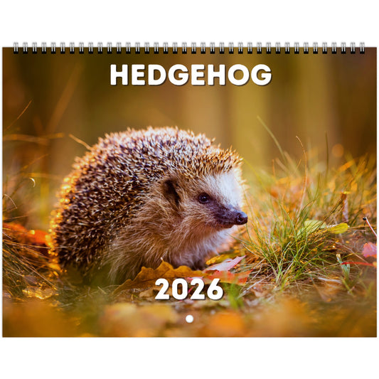 Hedgehog Wall Calendar 2026