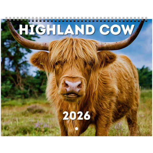 Highland Cow Wall Calendar 2026