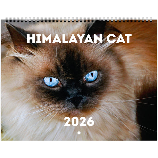 Himalayan Cat Wall Calendar 2026