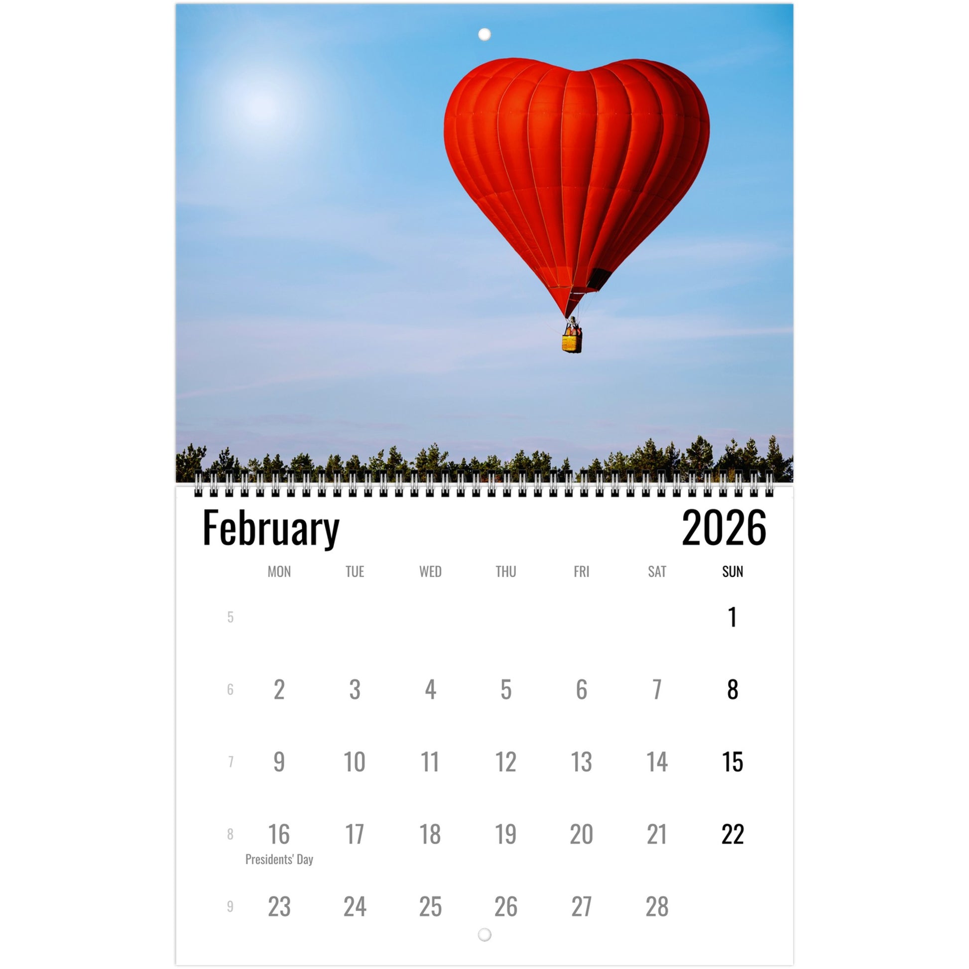 Hot Air Balloon Wall Calendar 2026